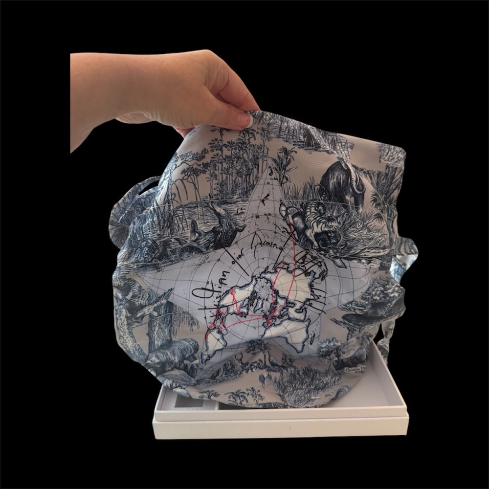 Dior Around the World Pouch. Limited Edition.